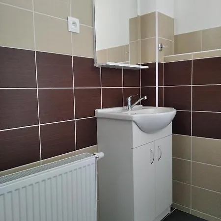 Apartmány Borská 30 Karlovy Vary Exteriér fotografie