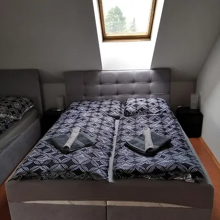 Apartmány Borská 30 Karlovy Vary Exteriér fotografie