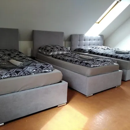 Apartmány Borská 30 Karlovy Vary Exteriér fotografie