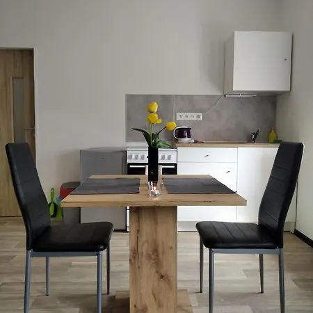 Apartmány Borská 30 Karlovy Vary Exteriér fotografie