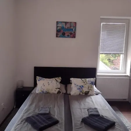 Apartmány Borská 30 Karlovy Vary Exteriér fotografie