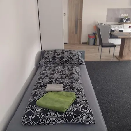 Apartmány Borská 30 Karlovy Vary Exteriér fotografie