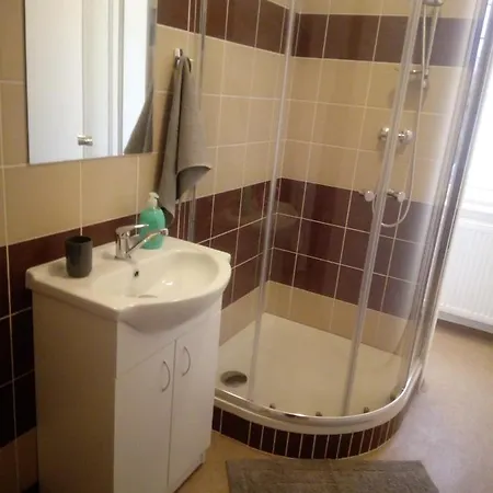 Apartmány Borská 30 Karlovy Vary Exteriér fotografie