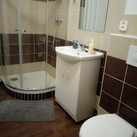 Apartmány Borská 30 Karlovy Vary Exteriér fotografie