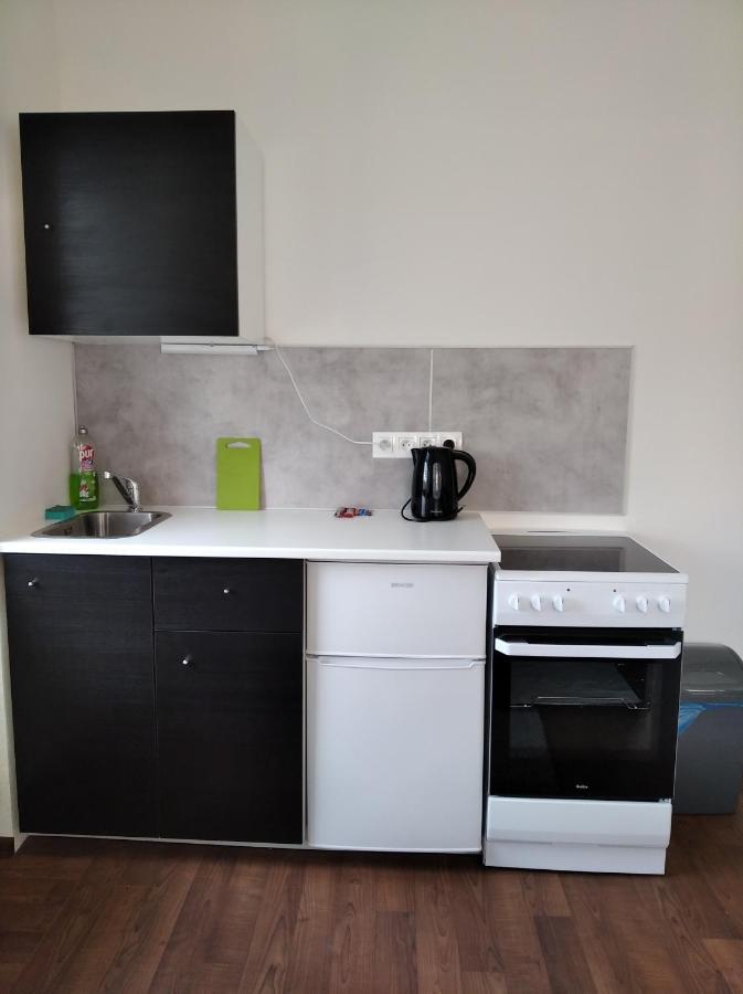 Borska Apartment Karlovy Vary